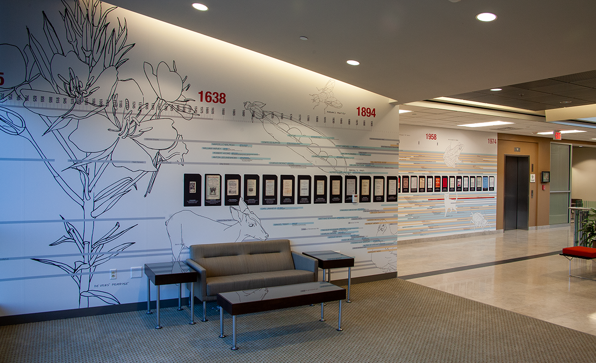 BCL IGB installation